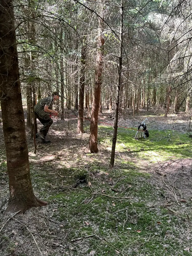 Ist er noch drauf oder folgt er einer Verleitung? Bei der Übungsfährte weiß man es! Im Ernstfall kann man sich nur auf den Hund verlassen!